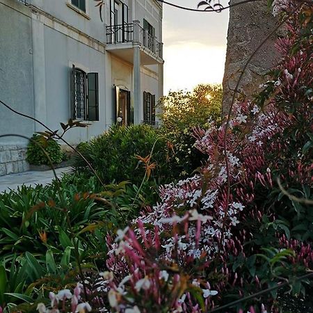 B&B Villa Maria Giovinazzo Εξωτερικό φωτογραφία