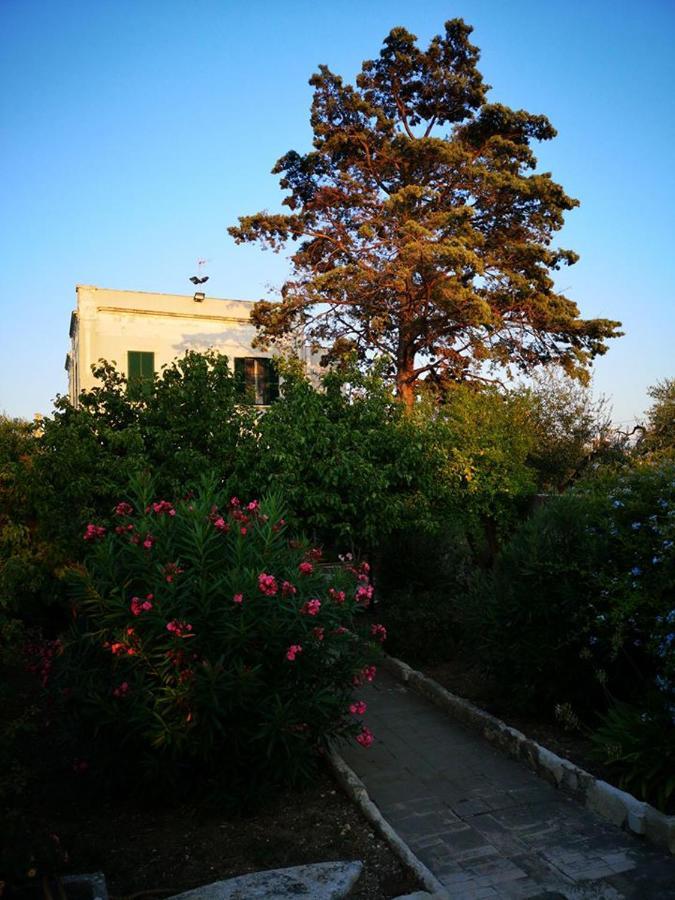 B&B Villa Maria Giovinazzo Εξωτερικό φωτογραφία